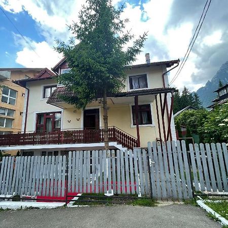 Hotel Constantinescu A. Buşteni Exterior foto