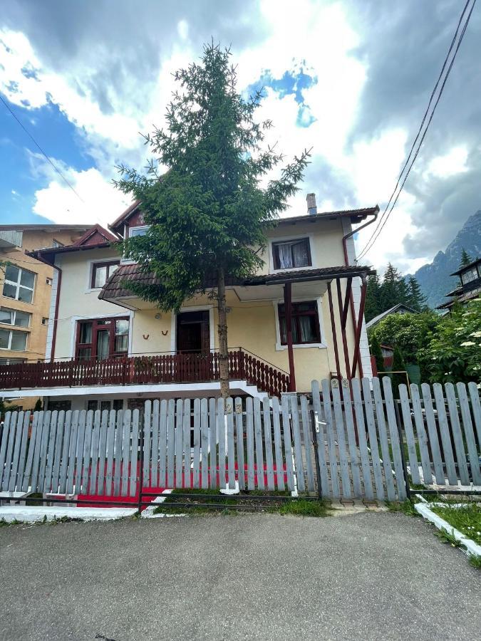Hotel Constantinescu A. Buşteni Exterior foto