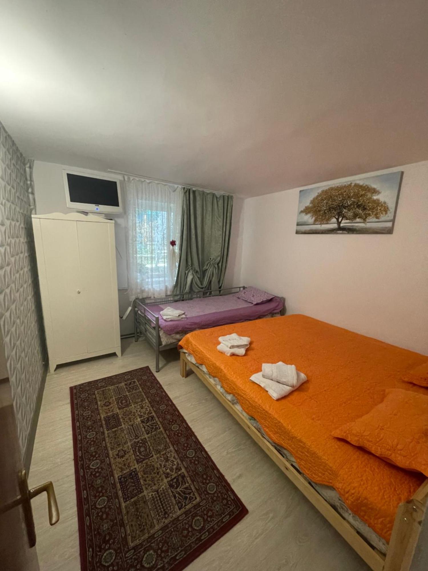 Hotel Constantinescu A. Buşteni Exterior foto